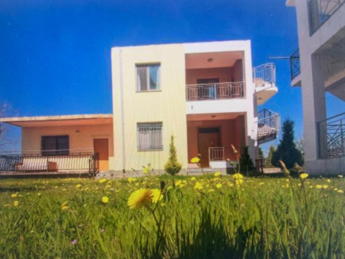 Shyqi Apartments Velipojë Εξωτερικό φωτογραφία